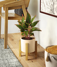 Load image into Gallery viewer, Cream stand:light
