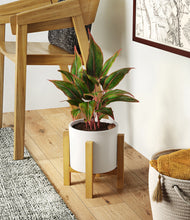 Load image into Gallery viewer, White stand:light
