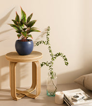 Load image into Gallery viewer, Deep Navy
