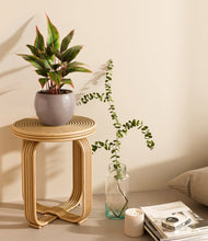 Load image into Gallery viewer, Winter Clouds
