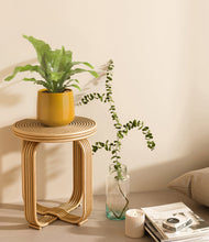 Load image into Gallery viewer, Mustard
