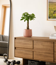 Load image into Gallery viewer, Calm Rose
