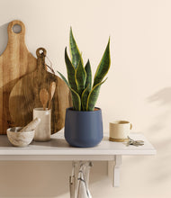 Load image into Gallery viewer, Deep Navy
