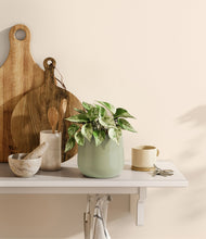 Load image into Gallery viewer, Turquoise
