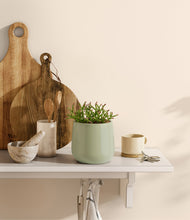 Load image into Gallery viewer, Turquoise
