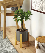 Load image into Gallery viewer, Dark Olive stand:light
