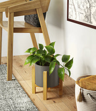 Load image into Gallery viewer, Dark Olive stand:light
