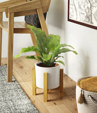 Load image into Gallery viewer, White stand:light
