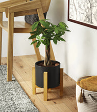 Load image into Gallery viewer, Black stand:light
