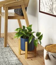 Load image into Gallery viewer, Deep Navy stand:light
