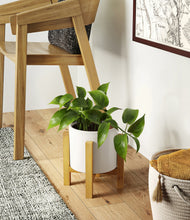 Load image into Gallery viewer, White stand:light
