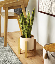 Load image into Gallery viewer, Cream stand:light
