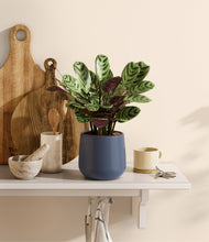 Load image into Gallery viewer, Deep Navy
