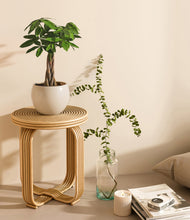 Load image into Gallery viewer, Shiny EggWhite
