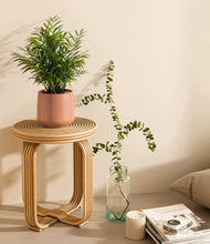 Load image into Gallery viewer, Calm Rose
