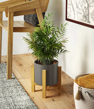 Load image into Gallery viewer, Dark Olive stand:light
