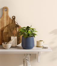 Load image into Gallery viewer, Deep Navy
