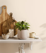 Load image into Gallery viewer, Eternal Gray
