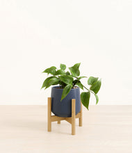 Load image into Gallery viewer, Deep Navy stand:bamboo
