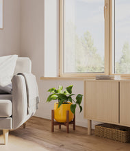 Load image into Gallery viewer, Mustard stand:walnut
