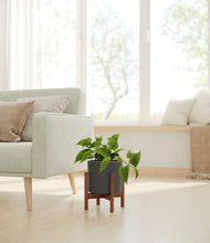 Load image into Gallery viewer, Dark Olive stand:walnut
