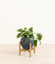 Load image into Gallery viewer, Deep Navy stand:bamboo
