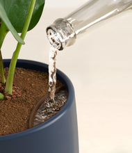 Load image into Gallery viewer, Deep Navy stand:all
