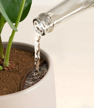 Load image into Gallery viewer, Eternal Gray stand:all
