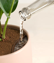 Load image into Gallery viewer, Gentle Pink stand:all
