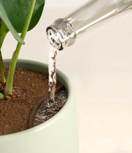 Load image into Gallery viewer, Turquoise stand:all
