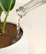 Load image into Gallery viewer, Shiny EggWhite stand:all
