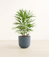 Load image into Gallery viewer, Iron Gray
