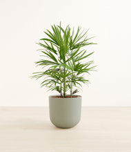 Load image into Gallery viewer, Sage Green
