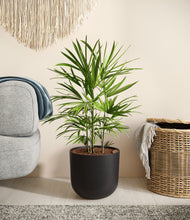 Load image into Gallery viewer, Stone Black
