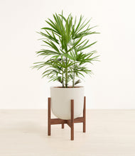 Load image into Gallery viewer, Natural Bamboo stand:walnut
