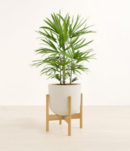 Load image into Gallery viewer, Natural Bamboo stand:bamboo
