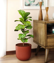 Load image into Gallery viewer, Earth Red
