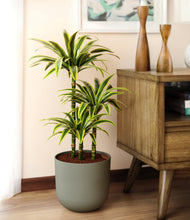 Load image into Gallery viewer, Sage Green
