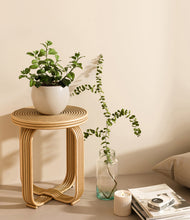 Load image into Gallery viewer, Shiny EggWhite
