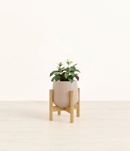 Load image into Gallery viewer, Eternal Gray stand:bamboo
