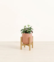 Load image into Gallery viewer, Calm Rose stand:bamboo
