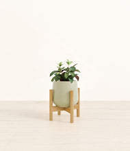 Load image into Gallery viewer, Turquoise stand:bamboo
