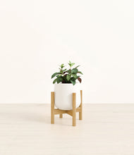 Load image into Gallery viewer, White stand:bamboo
