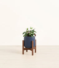 Load image into Gallery viewer, Deep Navy stand:walnut

