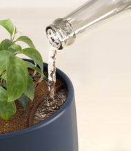 Load image into Gallery viewer, Deep Navy stand:all
