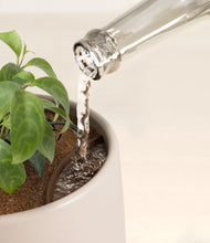 Load image into Gallery viewer, Eternal Gray stand:all
