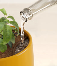 Load image into Gallery viewer, Mustard stand:all
