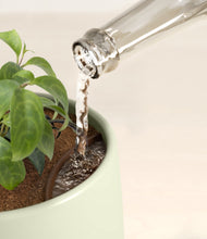 Load image into Gallery viewer, stand:all
