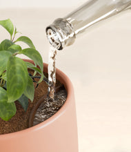 Load image into Gallery viewer, Calm Rose stand:all
