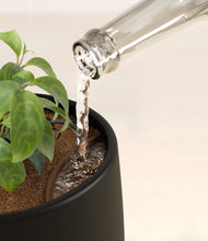 Load image into Gallery viewer, Black stand:all
